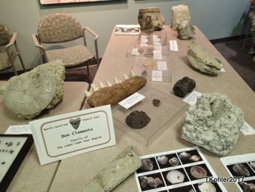 NCFC FossilFair2017 (42)