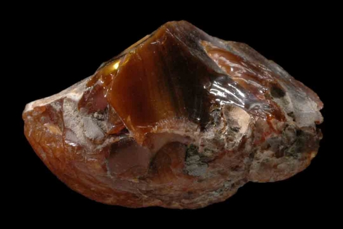 Fossil Resin